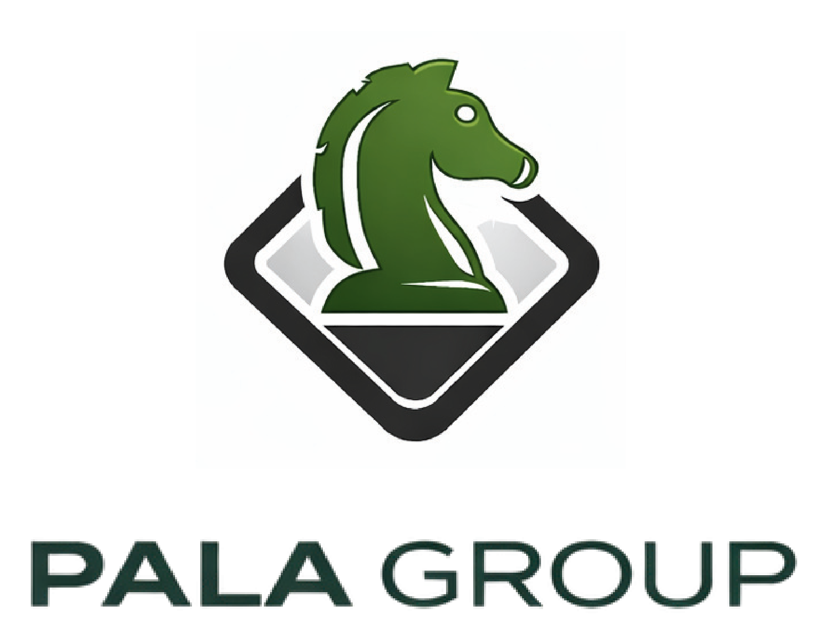Pala Group